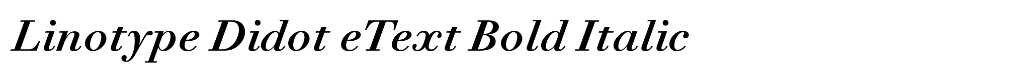 Linotype Didot eText Bold Italic image